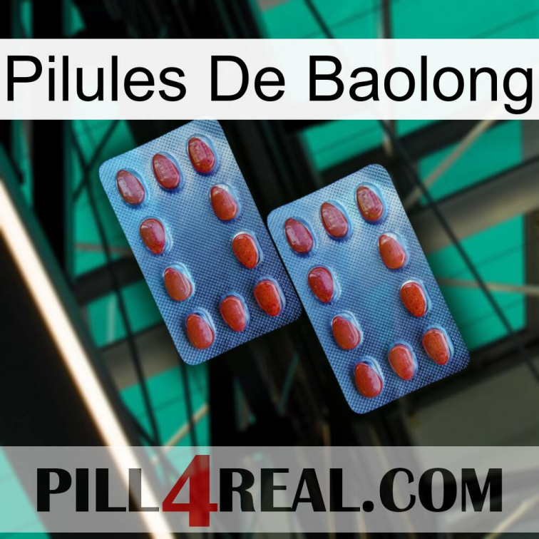 Baolong Pills 05